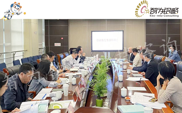 智為銘略輔導(dǎo)**團隊項目答辯順利進行
