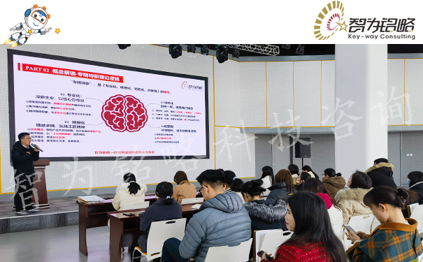 智為銘略受邀主講專精特新企業(yè)申報實務(wù)指導(dǎo)專題培訓(xùn)會
