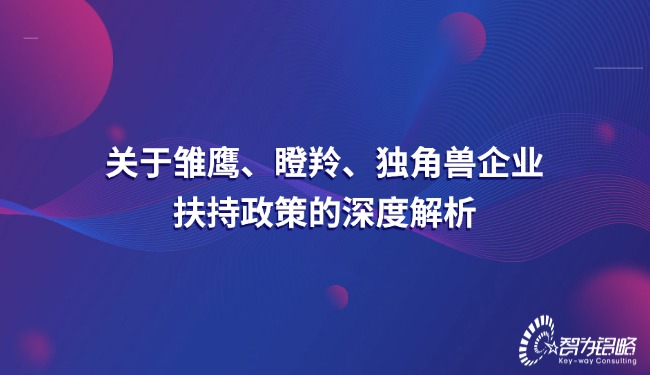 關(guān)于雛鷹、瞪羚、獨(dú)角獸企業(yè)扶持政策的深度解析.jpg