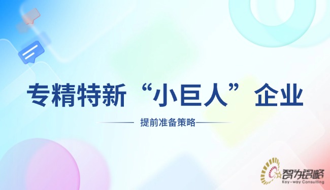專精特新“小巨人”企業(yè)提前準備策略.jpg