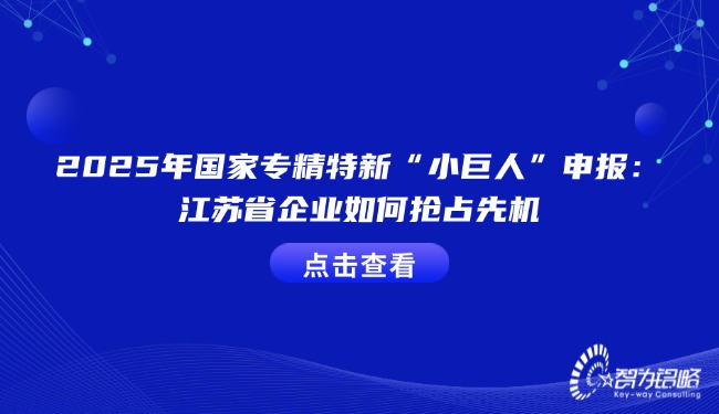 2025年國家專精特新“小巨人”申報：江蘇省企業(yè)如何搶占先機(jī).jpg