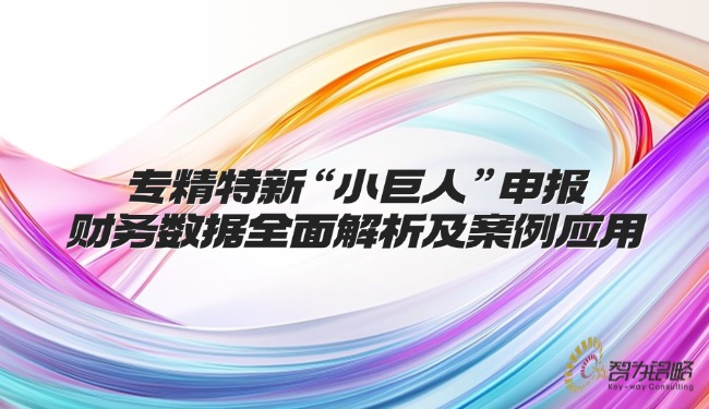 專(zhuān)精特新“小巨人”申報(bào)財(cái)務(wù)數(shù)據(jù)全面解析及案例應(yīng)用.jpg